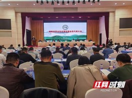 湖南省茶业协会第四届会员代表大会在长沙召开