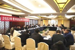 年会报道丨2022年贵州茶品牌发展座谈会召开 王志纲与各茶企代表共话黔茶新机遇