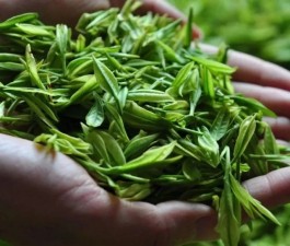突破2亿美元！贵州茶叶出口金额位居全省出口农产品第一