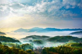 茶乡旅游精品线路——福建周宁 云端周宁·秋季茶乡养生之旅