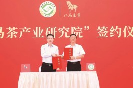 八马茶业积极构建“中国茶产业协作体”