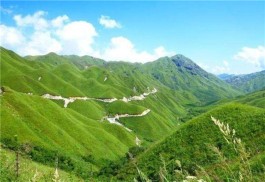 大雪山没有雪，有茶；大雪山古树普洱生茶，汤成万茶服