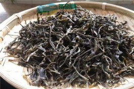 普洱茶品鉴｜永德大雪山古树茶的品质究竟如何？