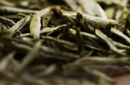 普洱黄茶有什么作用 普洱黄茶的作用介绍