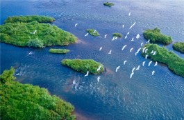 茶乡旅游精品线路——浙江丽水大美茶乡·休闲养生之旅