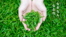 喝茶居然与性格有关系，大多数人都不知道！