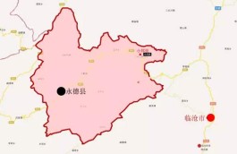 临沧永德十二古茶园：乌木龙乡小邦贵古茶园