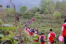 祁门县积极打造长三角茶旅研学体验优选区