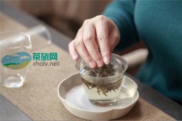 白茶：这样泡，可能最好喝