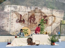 临安第八届茶俗文化旅游节：文旅融合 茶旅共兴