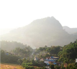 图记茶人出没的地方—勐腊象明