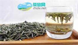 寿眉白茶是寒性的还是温性的呢？