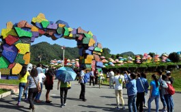 湄潭金花村：茶旅融合两相宜