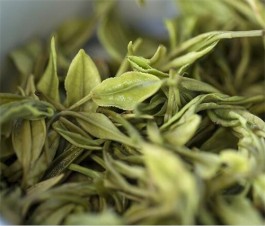 茅山白茶属于什么茶 茅山白茶怎么泡好喝