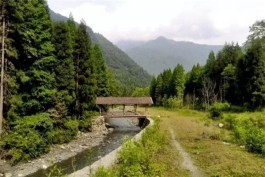 茶乡旅游精品线路—— 四川平武 平武县清漪江茶之廊深呼吸之旅