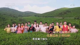 福鼎白茶登上2021中国农民丰收节晚会