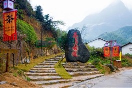 生态铅山 避暑康养 茶文化自驾旅游线路