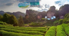 肖堰镇：“茶旅融合”掀起茶乡旅游热