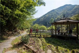 黄山祁门县：茶旅并进引领村民过上新生活