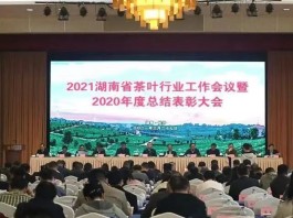 “千亿湘茶”产业高质量发展，助力湖南“乡村振兴”