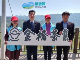 首届陕西网上茶博会举行山阳金桥茶业专场推介