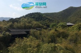 国际茶日，了解一下顾渚山的唐代贡茶