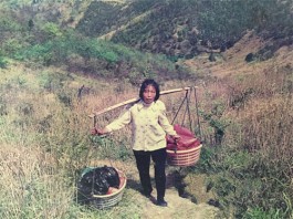 兰陵王·母亲节忆母