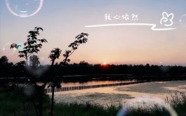 浅喜如夏，深爱似茶