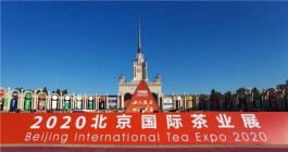 北京“两展一节”开幕