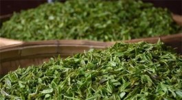 绿茶有什么功效与作用 喝绿茶功效与作用