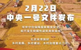 2022年中央一号文件发布