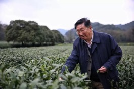 茶人物：带你走近茶叶界院士 陈宗懋