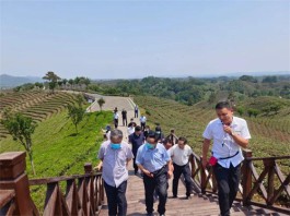 平顶山市政协考察浉河区茶产业发展情况