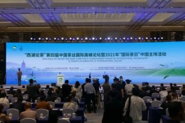 第四届中国国际茶叶博览会在杭州重启