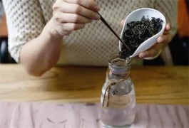茶叶的泡法 不同茶叶的冲泡方法