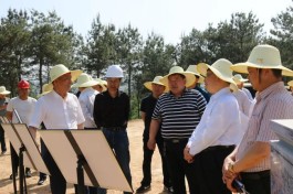 中原茶旅小镇 |桐柏县长贾松啸莅临“中原茶旅小镇”项目现场考察