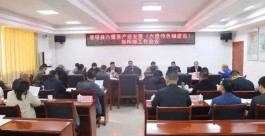苍梧县六堡茶产业发展（六堡特色镇建设）指挥部工作会议召开