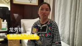 湘西两会说丨龙秀娇：建设保靖黄金茶专用肥加工厂 保持原产地品质