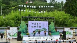 广西河池南丹办茶文化旅游节 