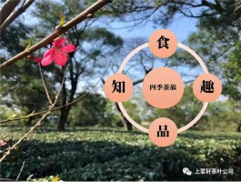 上茗轩“四季茶旅”欢迎你 去参观广东省第一家红茶博物馆