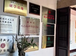 高质量发展调研行来到潮州凤凰单丛茶博物馆