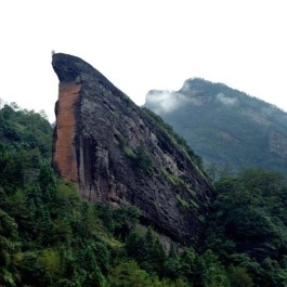 茶旅胜地：武夷山景区岩骨花香慢游道