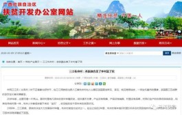 三江县布央村：茶旅融合美了乡村富了民