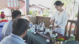 你去喝茶了吗？紫金县首届茶旅文化节开幕！