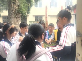 广东上茗轩红茶博物馆茶研学，孩子观看揉捻茶叶