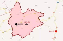 临沧永德十二古茶园：班卡乡放牛场古茶园