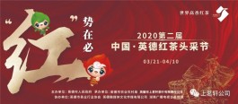 【直播预告】2020第二届中国·英德红茶头采节 | 上茗轩云直播 送千份好茶 4月10号约定您
