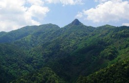 普洱26座古茶山巡礼之哀牢山西坡古茶山