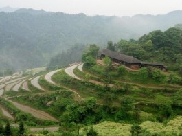 桃源县委书记周代惠：做好做足茶旅融合文章 全力打造茶庵铺茶旅特色小镇