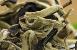普洱白茶有什么功效与作用 普洱白茶的功效与作用